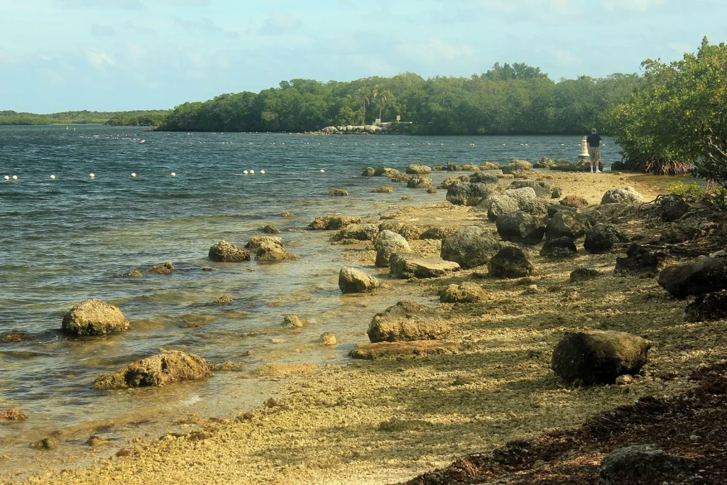 Rocky shoreline in Key Largo